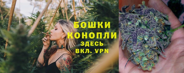 стафф Аркадак